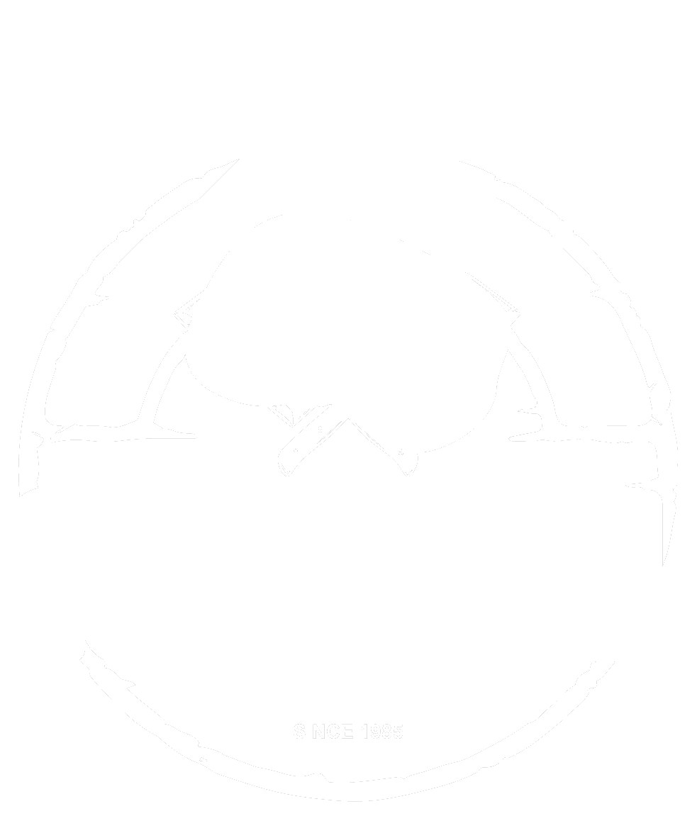 ملحمة الجمال وباربكيو